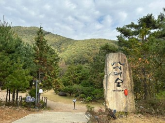 한옥카페 편백숲정원