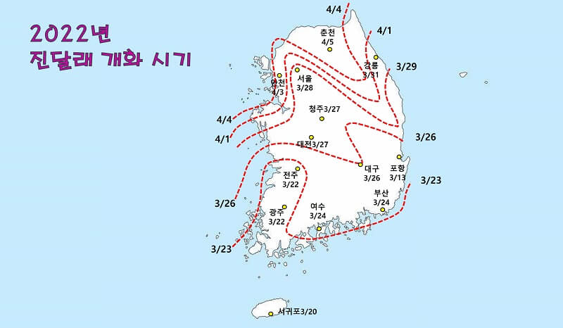 한국-전국-지도에-벚꽃-개화-시기-표시된-이미지