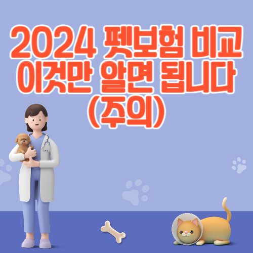 2024 펫보험 비교 이것만 알면 됩니다 (주의)