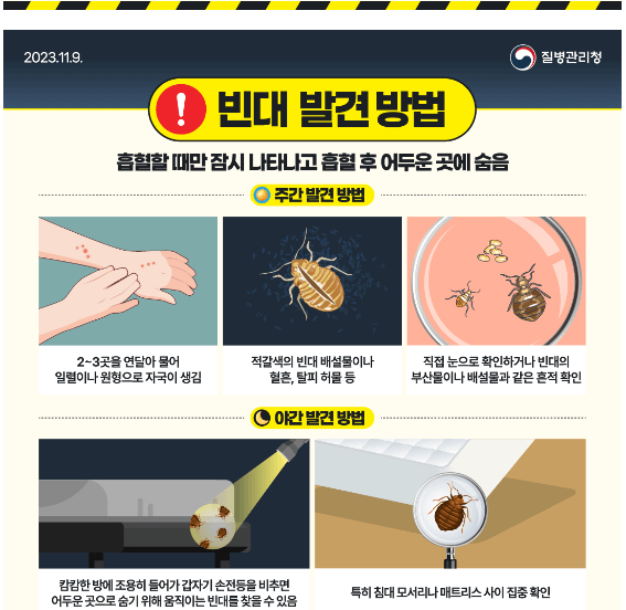빈대-발견시-대처방법-주간-야간