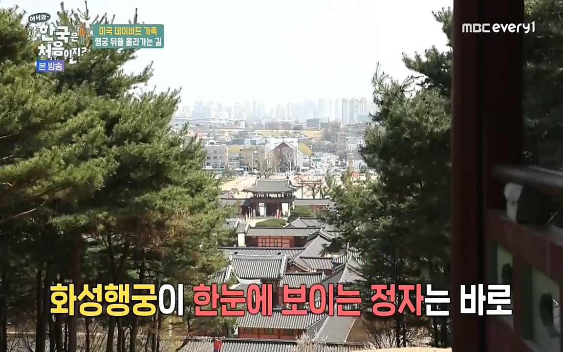 어서와 한국은 처음이지 시즌2.E211.220520p-NEXT.mp4_20220520_203245.587.jpg