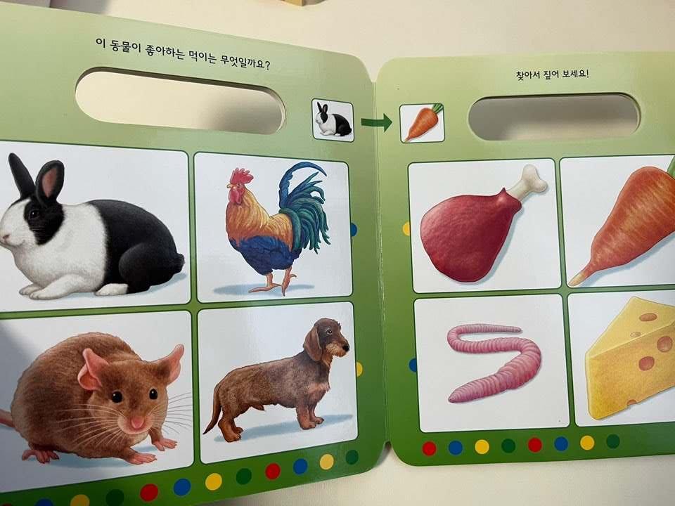 와이즈루크 사랑스러운 동물
