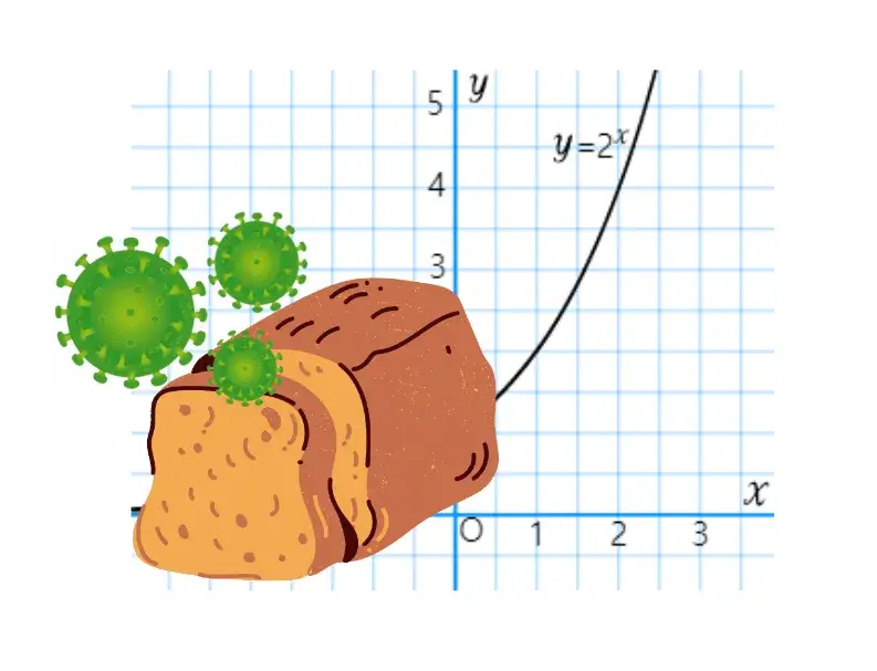 빵-곰팡이-지수함수-실생활-활용-사례