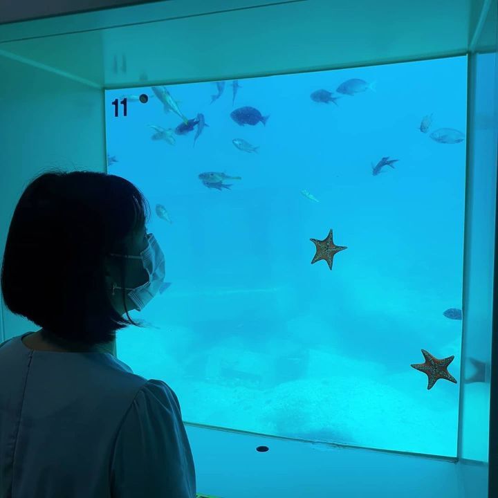울릉도드림 이미지