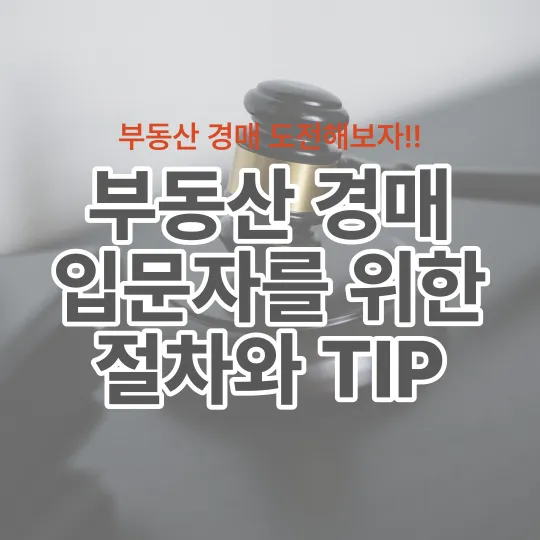 부동산-경매-절차와-TIP을-제공하는-내용이다