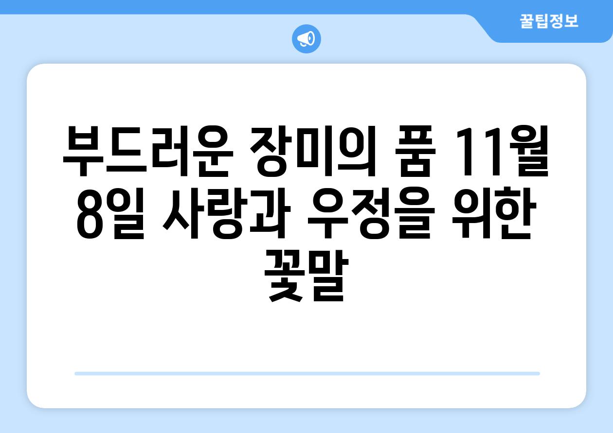 부드러운 장미의 품 11월 8일 사랑과 우정을 위한 꽃말