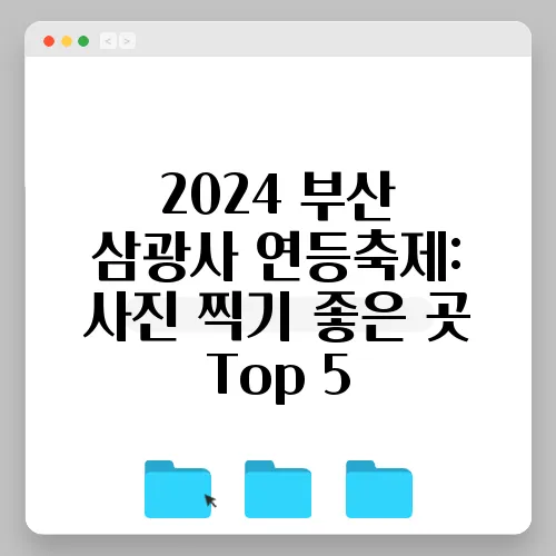 2024 부산 삼광사 연등축제: 사진 찍기 좋은 곳 Top 5