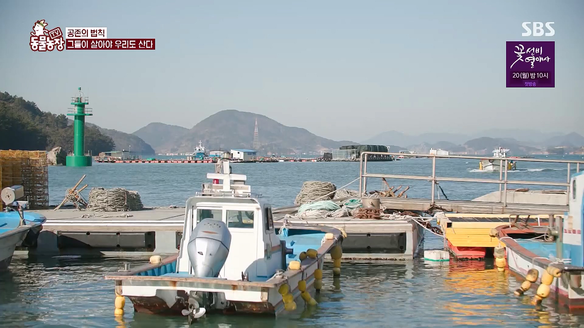 TV 동물농장.E1111.230312p.H264-F1RST.mp4_20230312_180009.053.jpg