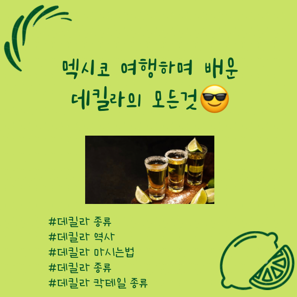 테킬라의 종류 - 테킬라 마시는 방법 - 데킬라 칵테일의 종류 - 테킬라 가격