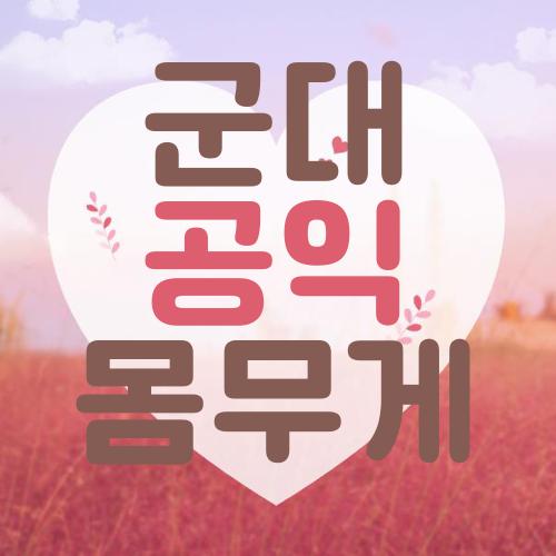 군대 공익 몸무게