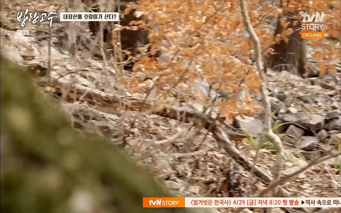 방랑고수.E05.220427p.H264-F1RST.mp4_20220428_191339.424.jpg