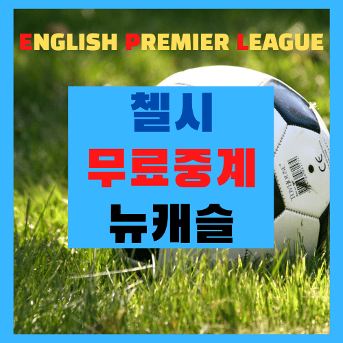  첼시 뉴캐슬 고화질 무료 중계 프리미어리그 (2020 11월 21일) 해외축구