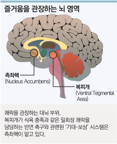  사랑이라는 이름의 중독,  의지의 문제가 아니다 - 대한민국의 중독지수는?