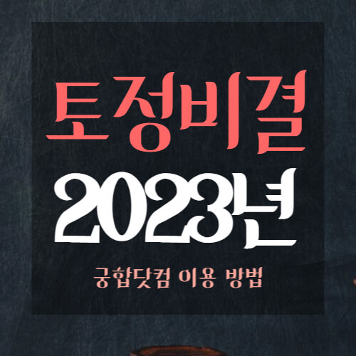 2023년-토정비결