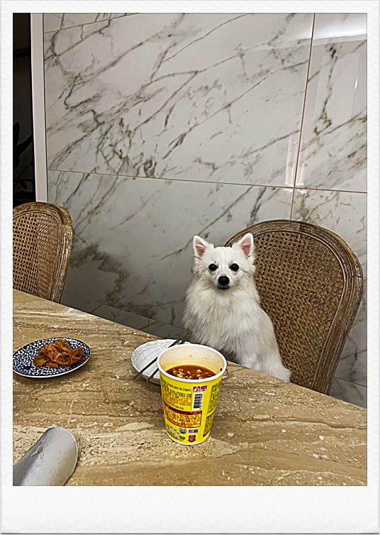 밥을안먹어요 11