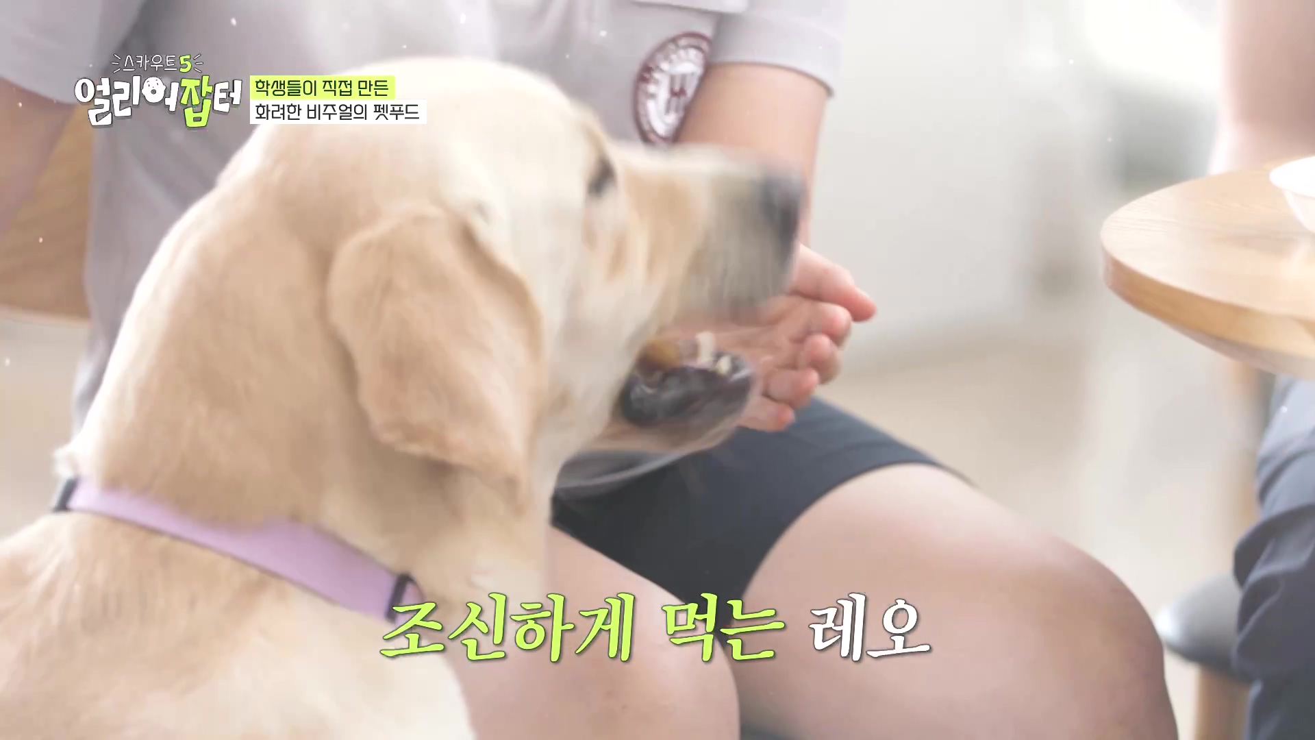 국내 대회 심사위원도 참여한 국제 대회에서 장려상 받은 고등학생 | 인스티즈