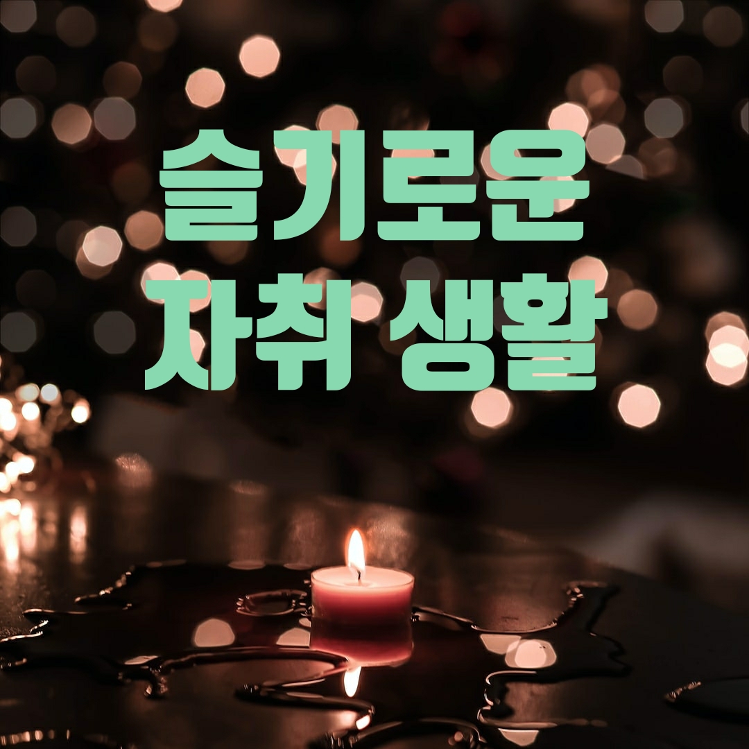  슬기로운 자취 생활 시즌 1