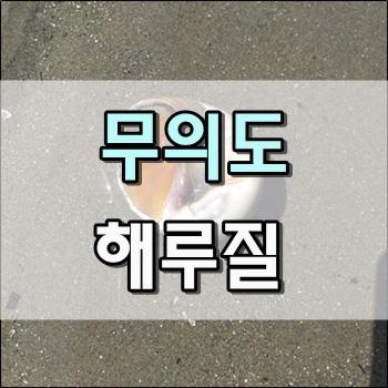  무의도 하나개해수욕장 해루질