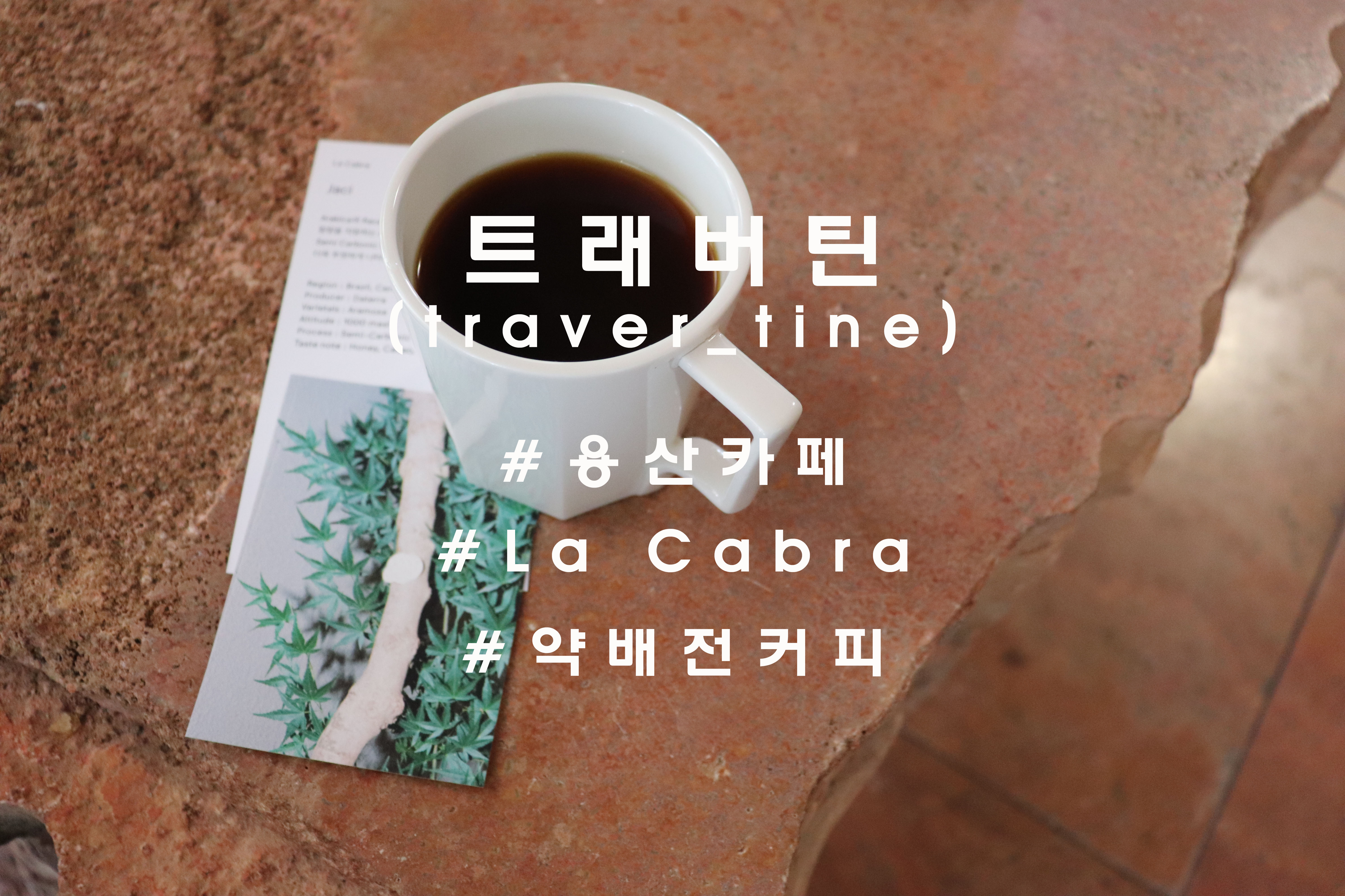  은행나무길의 아름다운 카페, 용산 '트래버틴'(travertine)