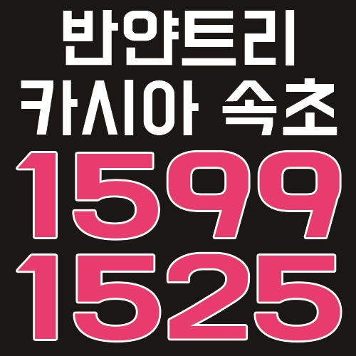  반얀트리 카시아 속초 잔여호실 및 분양가 소식 안내