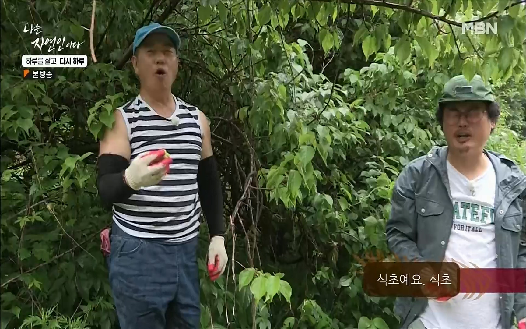 나는 자연인이다.E509.220706p.H264-F1RST.mp4_20220707_183729.354.jpg
