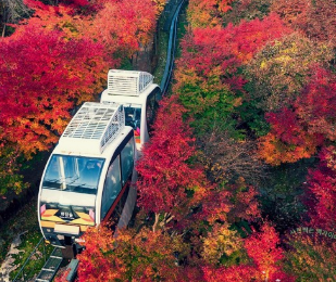 화담숲 예약 방법과 모노레일예약 및 입장료까지 한눈에 알아보기
