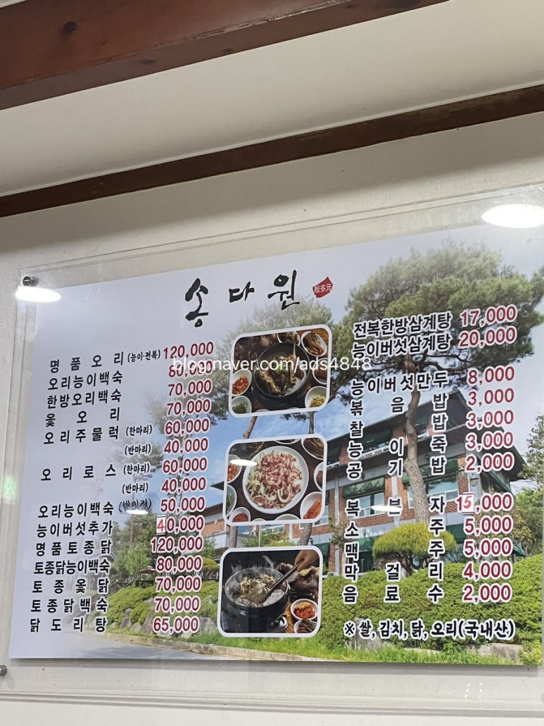 송다원 이미지