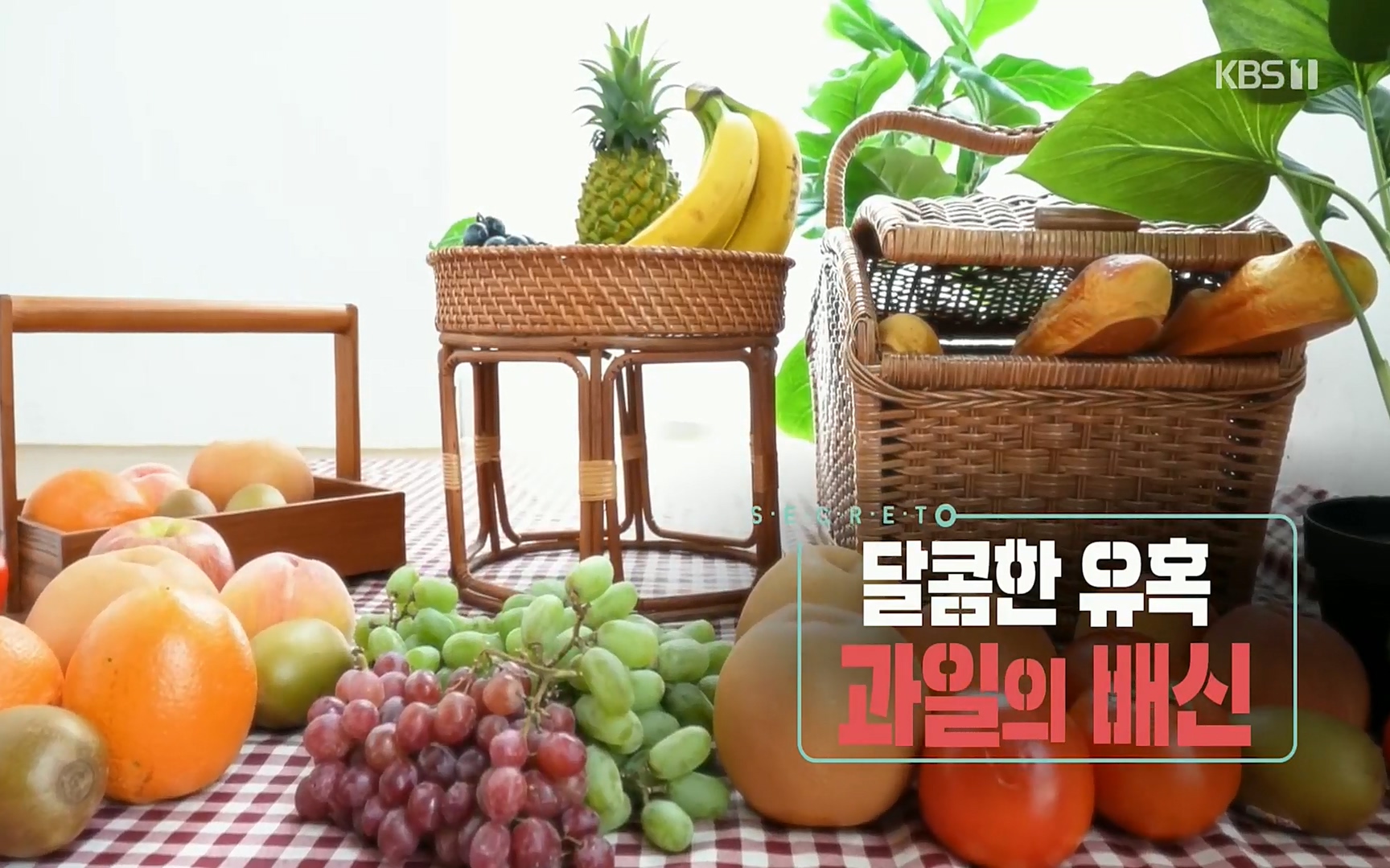 생로병사의 비밀.E829.220803p.H264-F1RST.mp4_20220804_202144.225.jpg