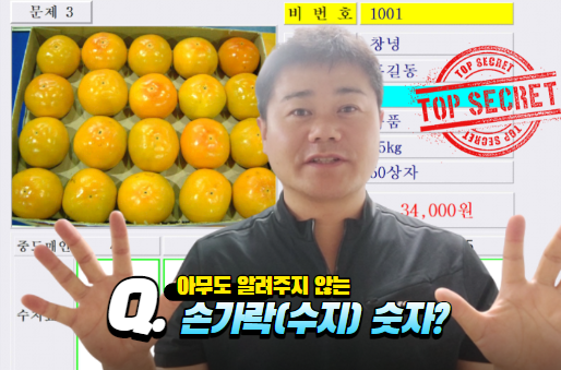  아무도 안 알려주는 수지(손가락숫자)를 알려드립니다!
