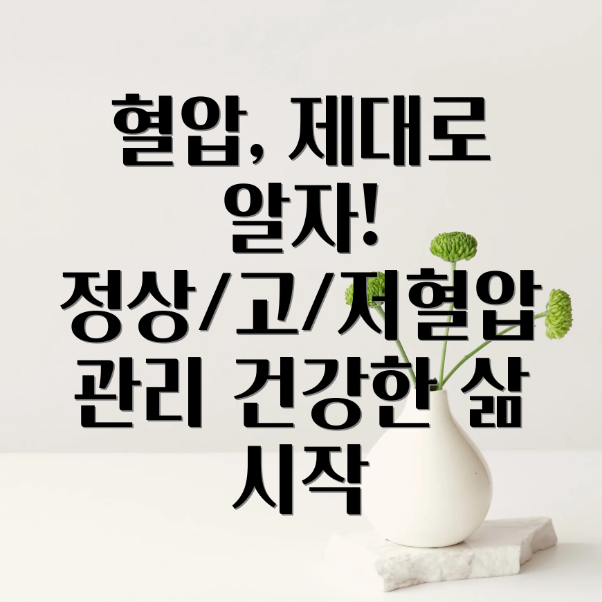 혈압 관리