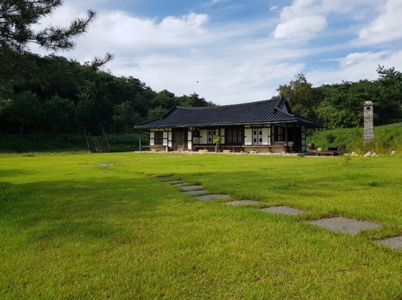 고창 청농원 라벤더 축제&amp;#44; 고창 청농원 여행 정보&amp;#44; 자연 힐링 명소