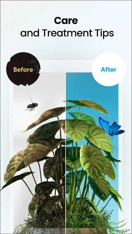 식물 식별(Plant App) 어플&#44; AI 식물 식별 하기&#44; 사진으로 식물 이름 찾기