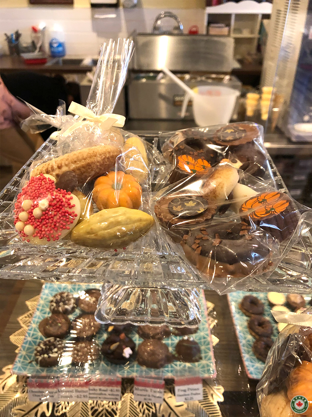  포트랭리 초콜렛, 사탕 가게 - Into Chocolate Candy & Confections