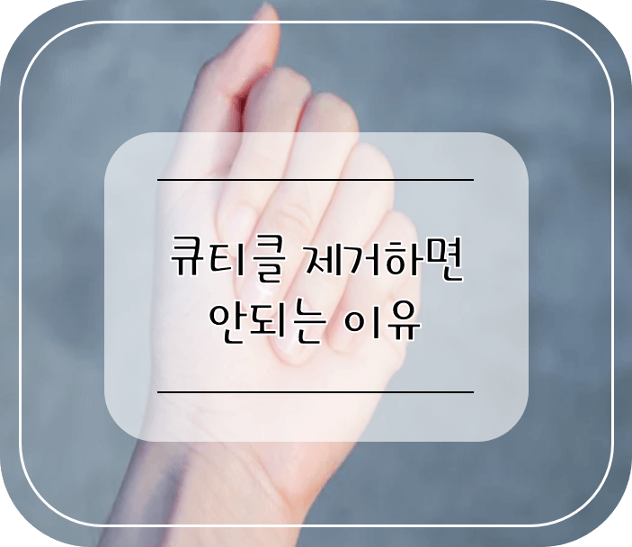 손톱_큐티클_메인