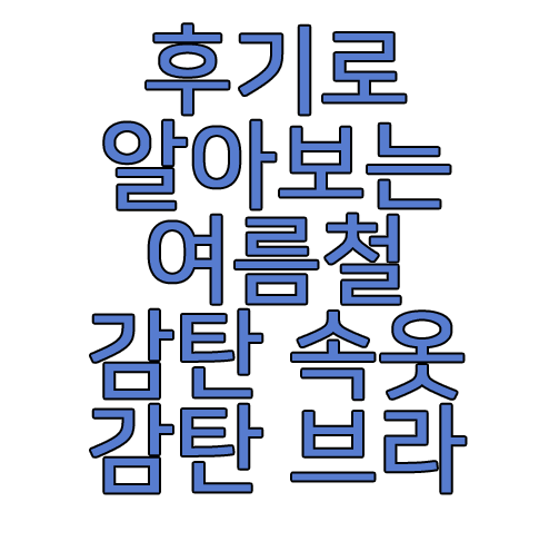 감탄브라에 관한 글 보러 가기 링크 사진