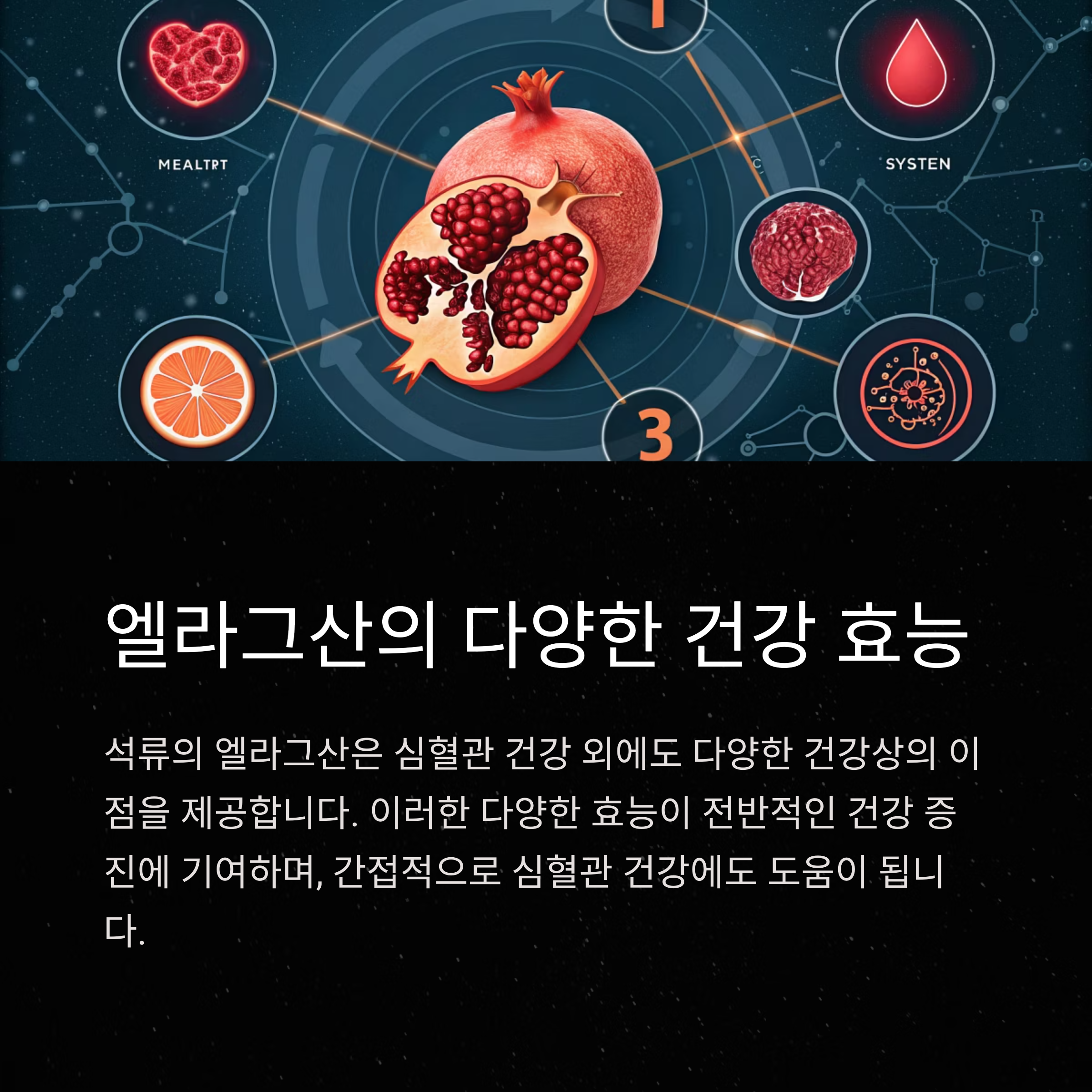 석류