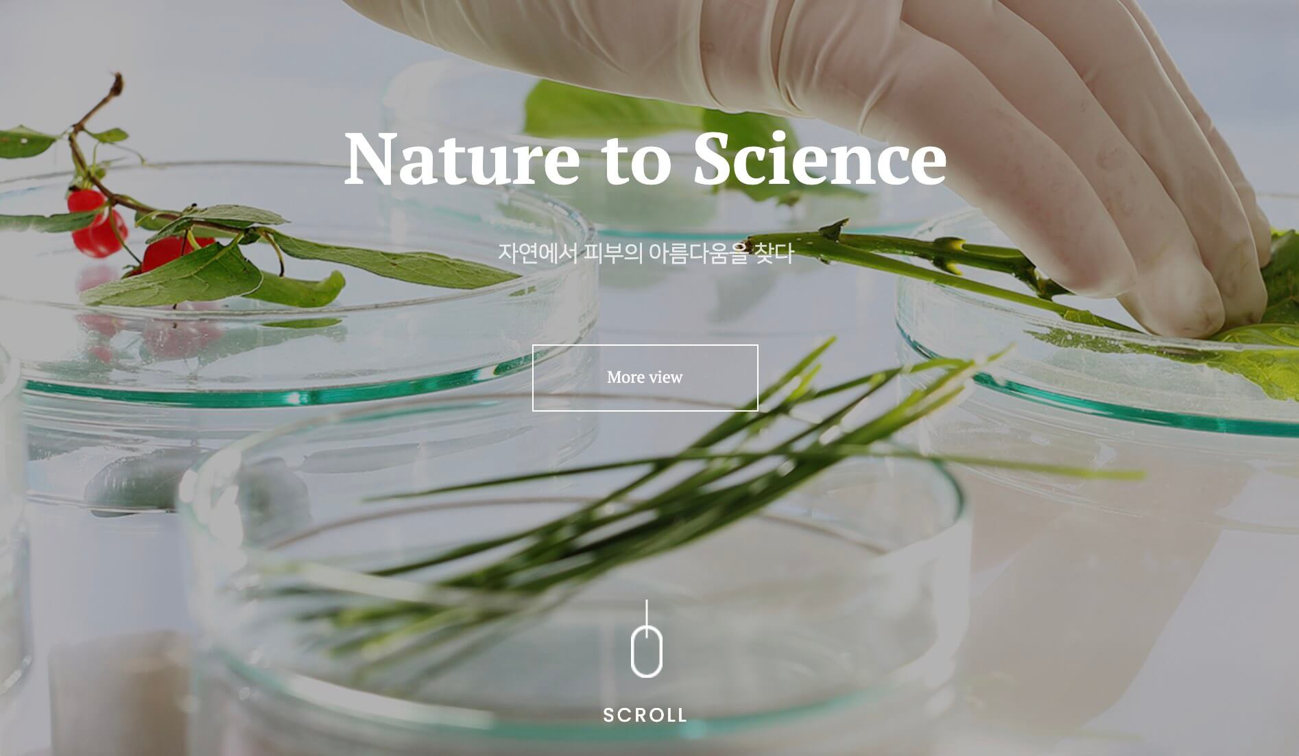  바이오에프디엔씨 공모주 넣어도 괜찮을까?