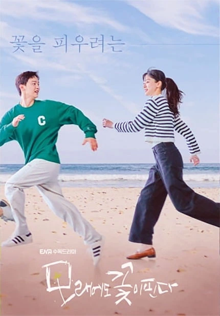 ENA 드라마 모래에도 꽃이 핀다 줄거리와 기대감