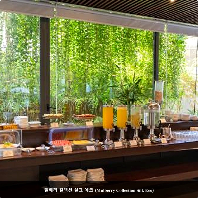 멀베리 컬렉션 실크 에코 (Mulberry Collection Silk Eco)_4