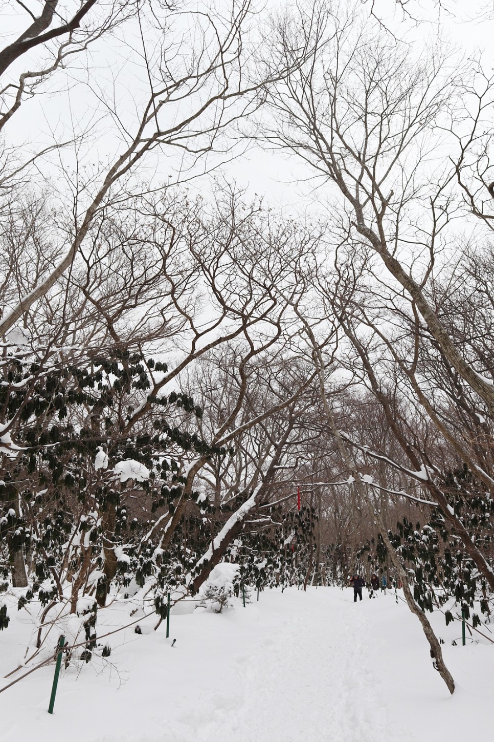 눈쌓인 겨울산 이미지 5