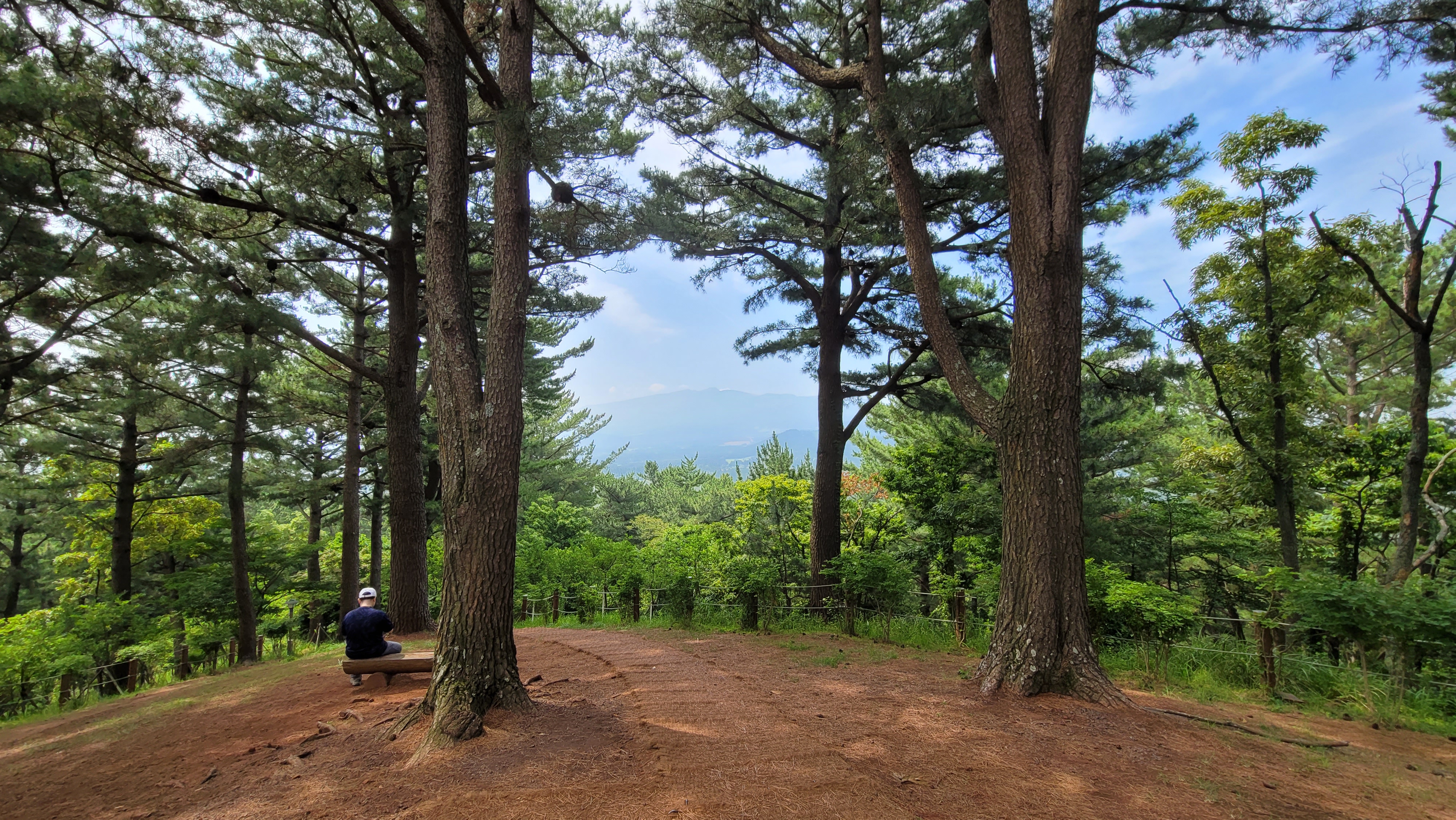 제주한라수목원