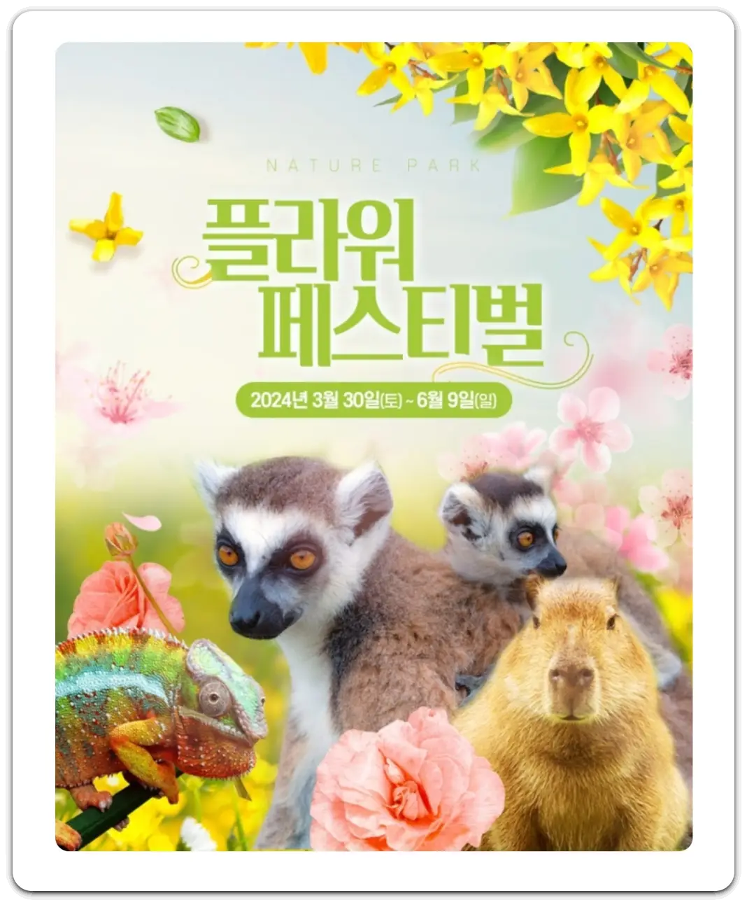 꽃-축제하는-곳-봄꽃-축제-일정