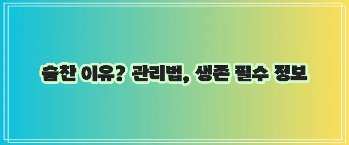 숨이 차는 이유와 관리법 반드시 알아야 합니다