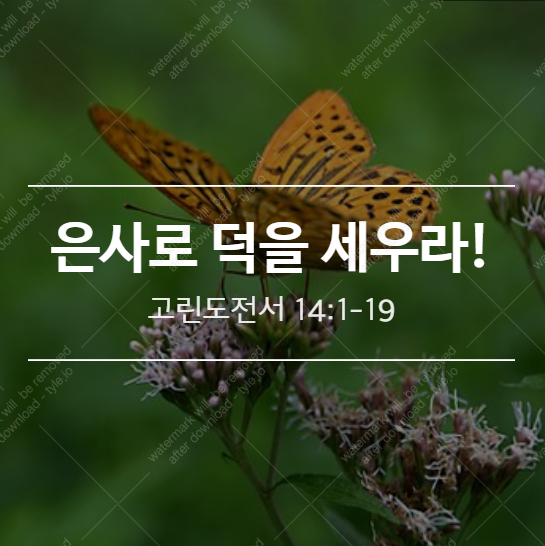  [고전 14:1-19] 은사로 덕을 세우라!