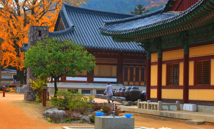 천년 이미지
