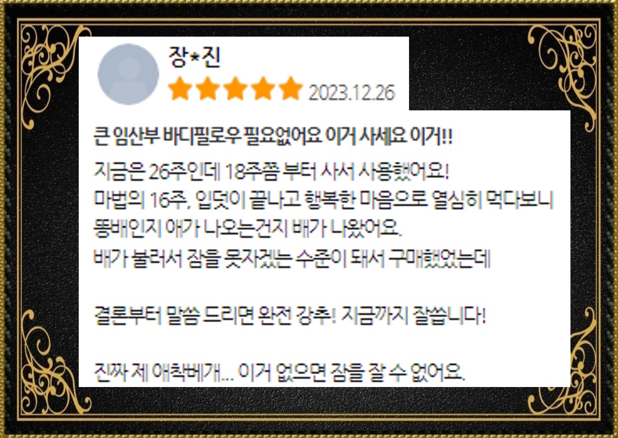 임산부 레그필로우 추천