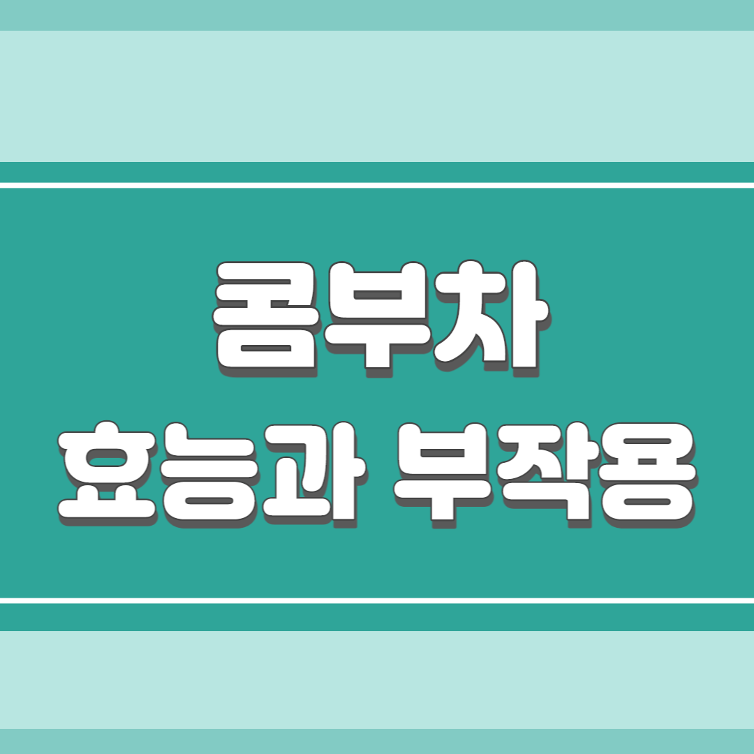  콤부차의 효능과 부작용(권장 섭취량과 선택할 때 주의점)