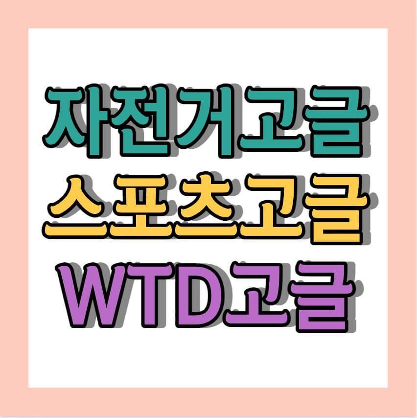 자전거고글 스포츠고글 WTD고글