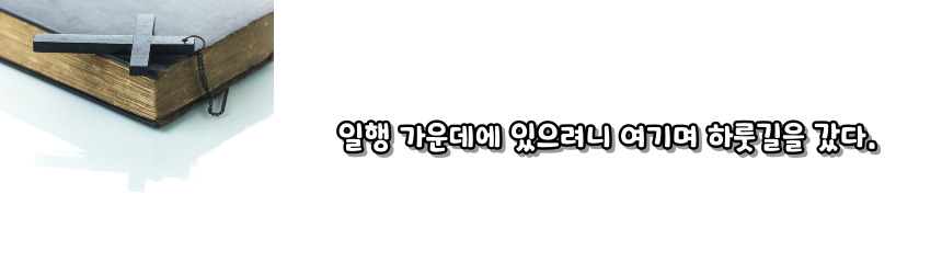 소년 예수를 잃어버림 (루카 2, 43-45)_성모 마리아의 7가지 고통