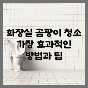  화장실 곰팡이 청소: 가장 효과적인 방법과 팁
